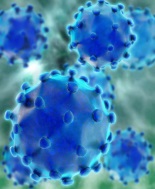 Epatite C, sofosbuvir garantisce sicurezza dal punto di vista renale